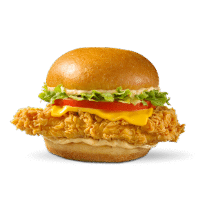 CHICKEN SPECIAL